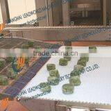 Type B Modular Sushi Conveyor Belt thumbnail-1