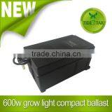 600W Compact Magnetic Ballast for Hydroponic Grow Lamp Bulb Light thumbnail-1