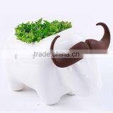 Supply Fashion Creative Animal Plant - Buffalo thumbnail-1