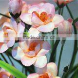 Home Garden Decoration 30cm Hight Light Red Small Criste Marine Artificial Wedding Flowers EXLH03 0403 thumbnail-4