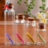 Mini Glass Bottle with Cork lid / Glass Message Jars