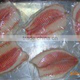 Frozen Tilapia Fillet From Zhejiang of China thumbnail-3