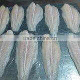 Frozen Pangasius Fillet/ Well-trimmed, Untrimmed Frozen Pangasius Steak/ Basa Fillet/ Frozen Pangasius Fillet/ Fish Fillet thumbnail-1
