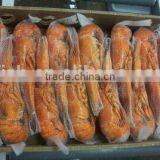 Lobster Homard thumbnail-4