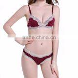Ladies Lace Bra and Brief Set for Women Underwear With Bonding Panties thumbnail-2