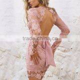 Runwaylover 092 New Style 2017 Ladies Sexy Lace Transparent Party Dress thumbnail-2