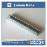 Gold Colored Staples for Furniture Hardware Fitting thumbnail-3