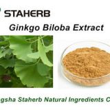 Ginkgo Biloba Extract CAS No. 90045-36-6 Antibacterial Pure Natural Plant Extracts /
