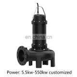 WQ Series Cast Iron Sump Non-clog Submersible Sewage Waste Water Disposal Pump thumbnail-4