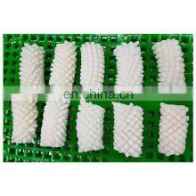 Frozen Seafood Squid Flower Fish Giant Squid Flower