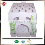 2015 Printing Vegetable Box, PP Asparagus Packing Box