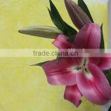 Factory Direct Sell Cheap Lili Flower Head Lili Collect thumbnail-3