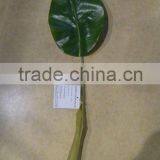 Whosale Green Banana Leaf