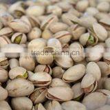 High quality Pistachio nut