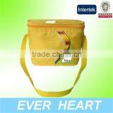 Fashion Street Handle Lunch Bag,cooler Bags