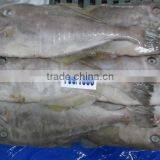 FROZEN LEATHER JACKET WHOLE thumbnail-3