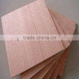Bingtangor Plywood thumbnail-1