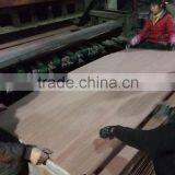 Recon Veneer / Natural Keruing Veneer / Gurjan Face Veneer thumbnail-3