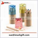 12 Color Pencils With Paper Tube Packing and Pencil Sharpener
