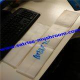 Best Selling Ecnomic Mushroom Growing Bags thumbnail-3