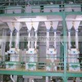 1121 Basmati Rice for Dubai thumbnail-3