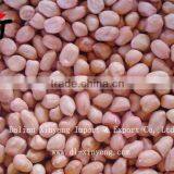 Wholesale Crispy Roasted Peanuts in Red Skin thumbnail-3