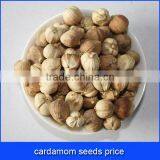 Cardamom Seeds Price