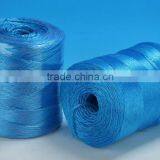 2014 China Best Vegetable Sisal Baler Rope