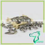 Common Cultivation Sunflower Seed 363 100% Natural thumbnail-6