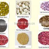 Dalian Jinshengxi International Trading Co., Ltd. company overview - view 3 thumbnail