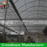 Hot Sale Venlo Type Aluminum Profile Greenhouse for Plant thumbnail-3