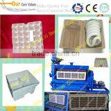 Manufacture Supply Egg Tray Making Machine 0086-13838265130