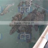 Aquaculture System for Fish Farming