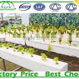 PC Sheet Cover Material and Multi-Span Commercial Greenhouses for Agriculture for Sale thumbnail-6