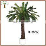 Plastic Cycad Revoluta Tree for Landscape Decoration thumbnail-1