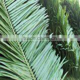 SJZZY Outdoor Decorative Plastic Artificial Palm Tree Leaves thumbnail-2