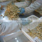 Tasty and Delicious Best Frozen Baby Clam Without Shell Iqf thumbnail-6