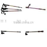 WALKING STICK thumbnail-1