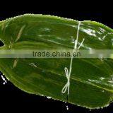 High Quality Bamboo Leaf Extract Bamboo Leaves No Pollution Fresh thumbnail-2