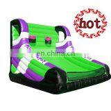 Inflatable Climbing Wall / Inflatable Sport Game