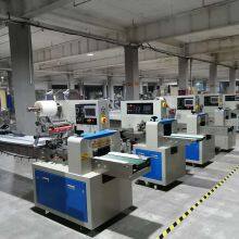 Flow Pillow Type Automatic Cookies Packing Machine thumbnail-5