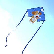 China New Design Hot Sales Delta Cartoon Polyester Easy Flying Kite for Kids and Adults From Weifang Kite Factory thumbnail-5