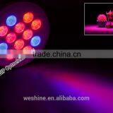 12W 24W E27 Hydroponic LED Plant Grow Lights Growing PAR38 Lamp for Garden Plants thumbnail-3