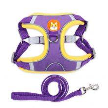 Pet Harness Small Dog With Leash Set thumbnail-4
