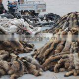 Real Racccon Fur Fabric Raw Skin Animal Fur Skin for Sale thumbnail-1