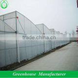 Greenhouse Auto Vent Opener thumbnail-1