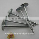 1kg/box Good Quality Roofing Nails for Madagascar Market