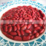 beans in tomato sauce wholesale