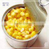 China sweet corn