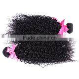 Brazilian Human Virgin Kinky Hairpiece Manufacturer Curly Wave Wholesale thumbnail-4